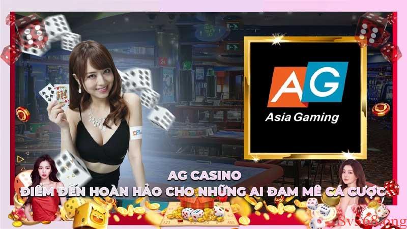 Trạm dừng chân hoàn hảo cho các cược thủ